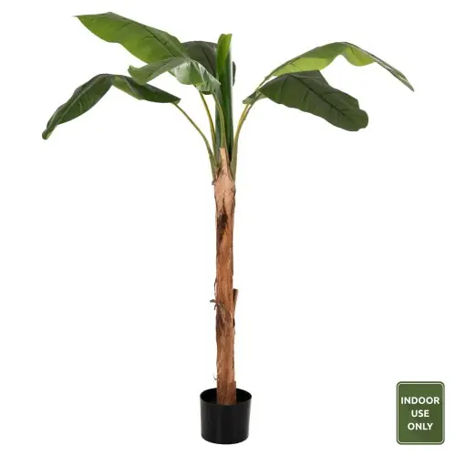 DEKORATIVE SYNTHETISCHE PFLANZE BANΑΝΑ-BAUM IM TOPF 180 cm Sichere Zahlung