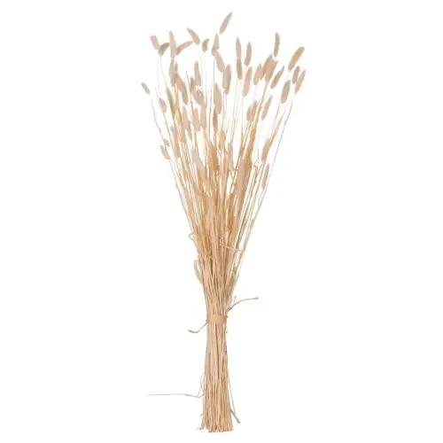 Wochenendangebot DEKORATIVER GETROCKNETER BOUQUEΤ KANINCHENSCHWANZ CREME 76cm