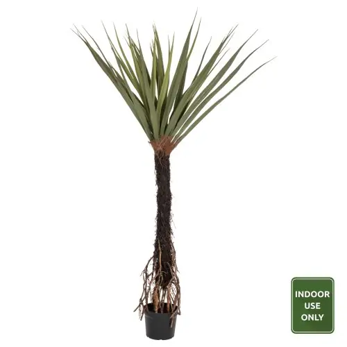 Saisonangebot DEKORATIVE SYNTHETISCHE PFLANZE SISALBAUM IM TOPF 200 cm