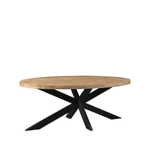 Esstisch ZIP aus massivem Mangoholz 210x100x76 cm | Baumstamm Möbel Mega-Angebot