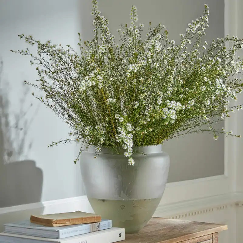 Rabatt Vase Tania