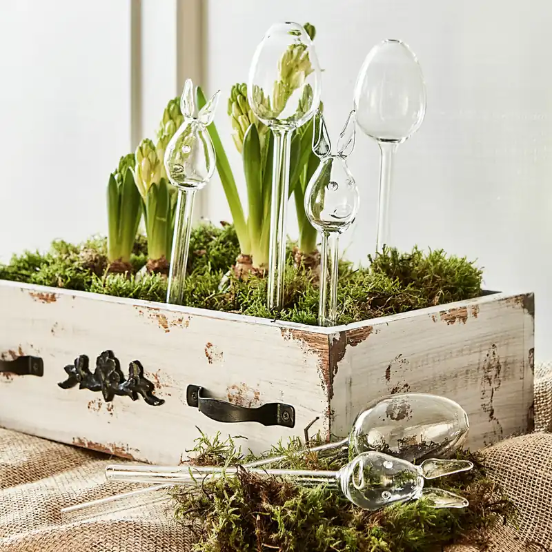 Must-Have Bewässerungshilfe 6er Set Suva