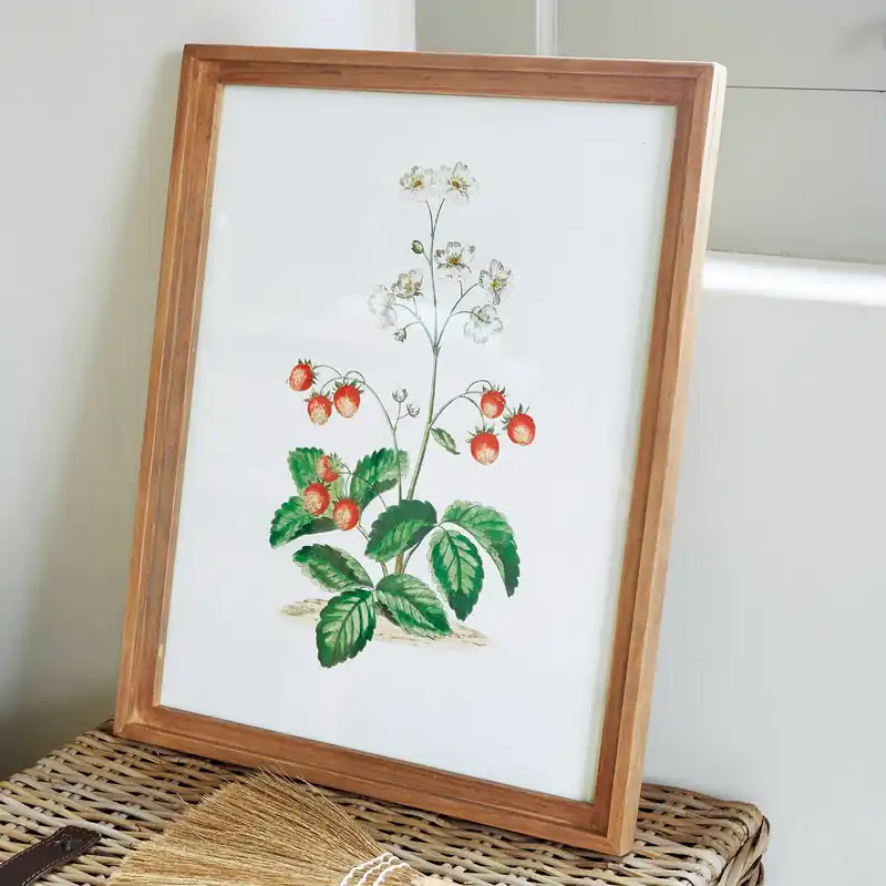 Schneller Versand Bild Strawberry