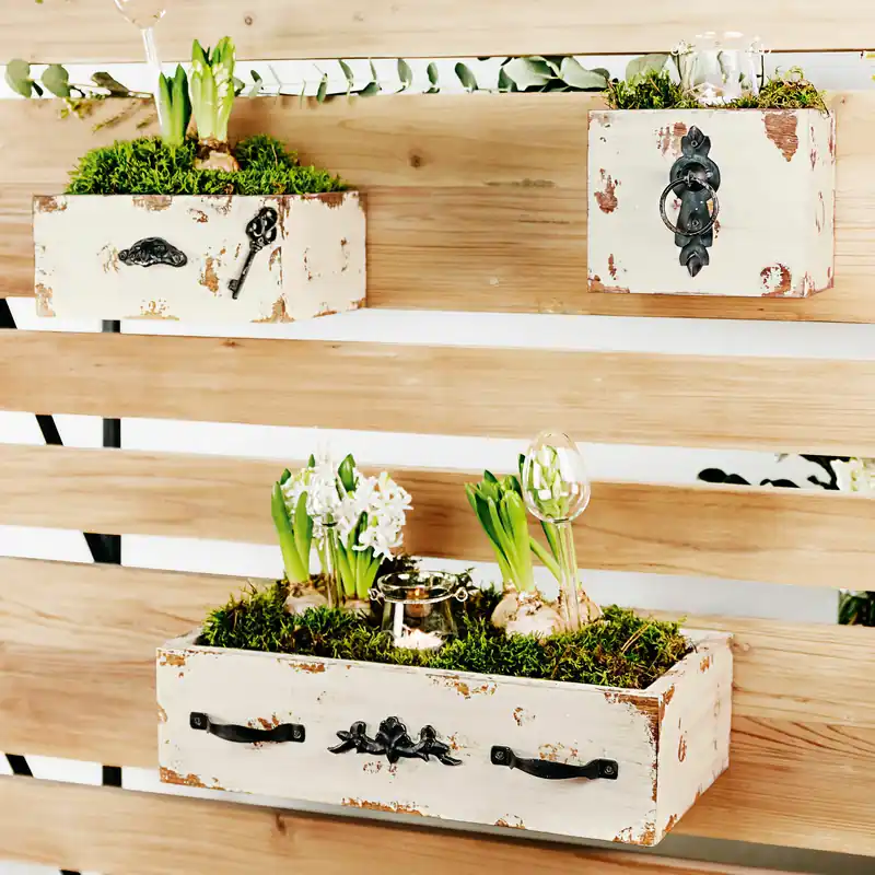 Versand Am Gleichen Tag Stylebox Frühlingserwachen