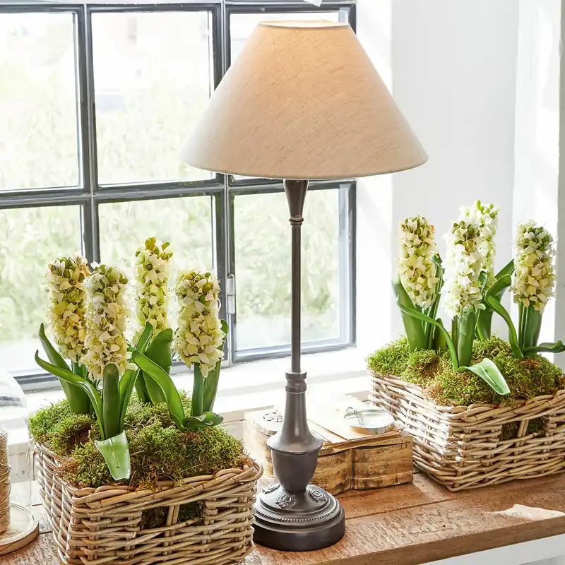 Sale Tischlampe Barnwell