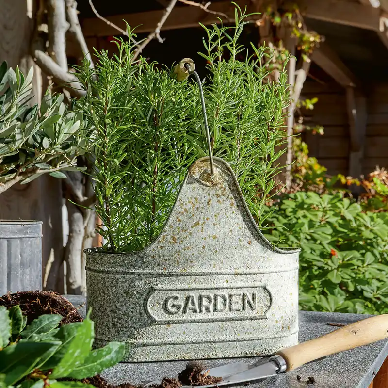 Ausverkauf Korb Garden