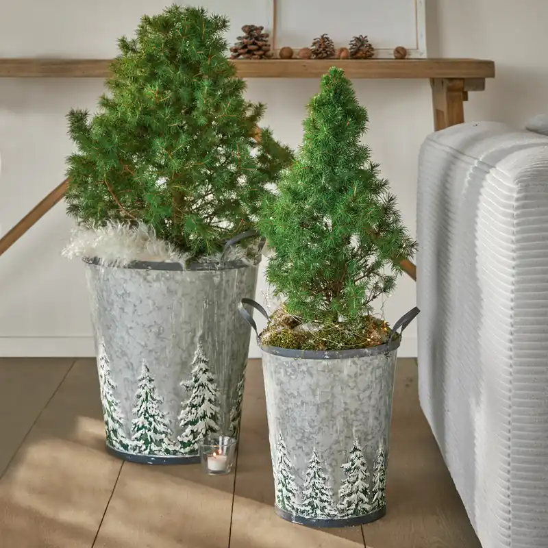 Top-Preis Eimer 2er Set Pavie