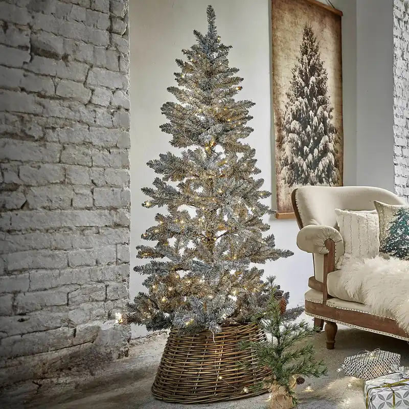 Weihnachtsbaum Sansais Zertifiziert