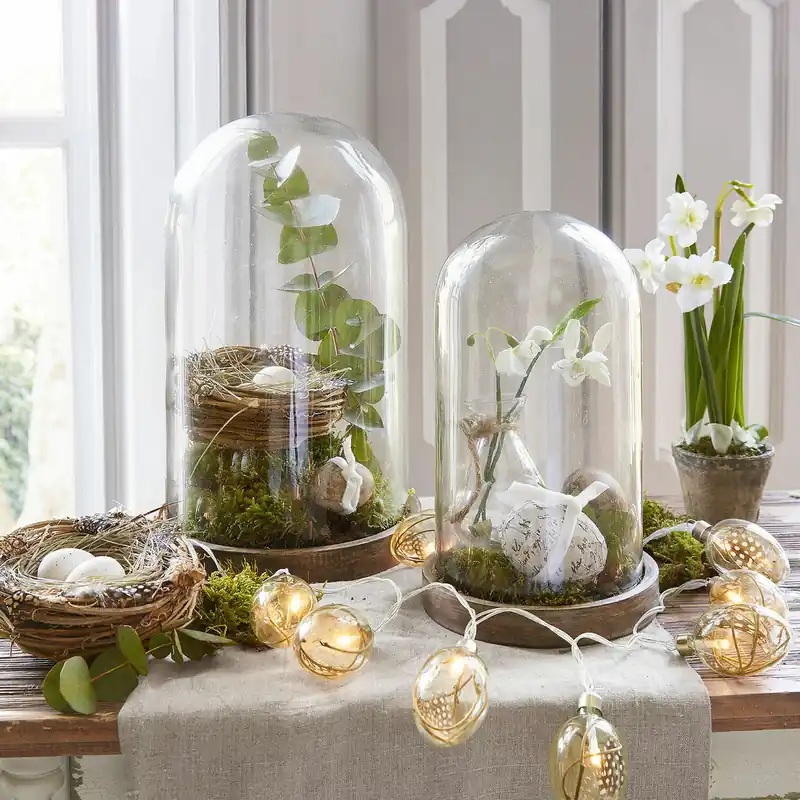 Markenware Glasglocke 2er Set Felicita