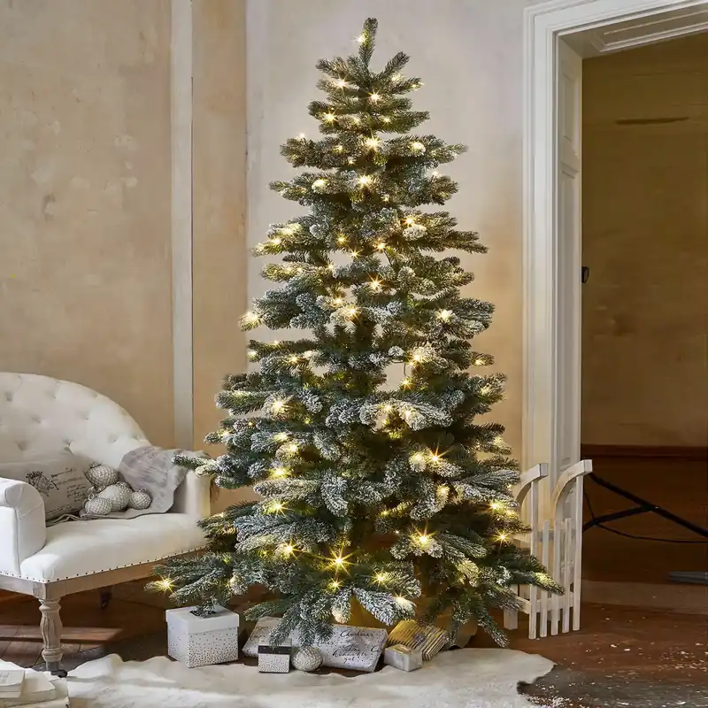 Weihnachtsbaum Mannier Garantierte Lieferung
