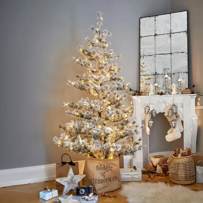 Nur Heute Weihnachtsbaum Sapi
