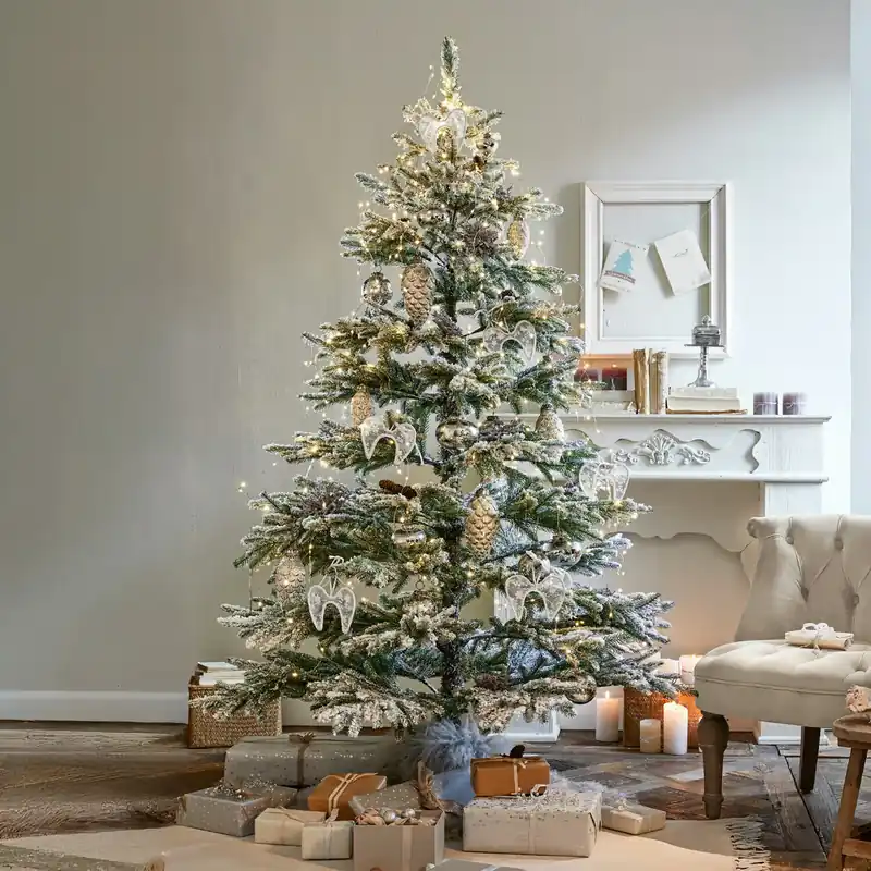 Weihnachtsbaum Lokossa Sonderaktion