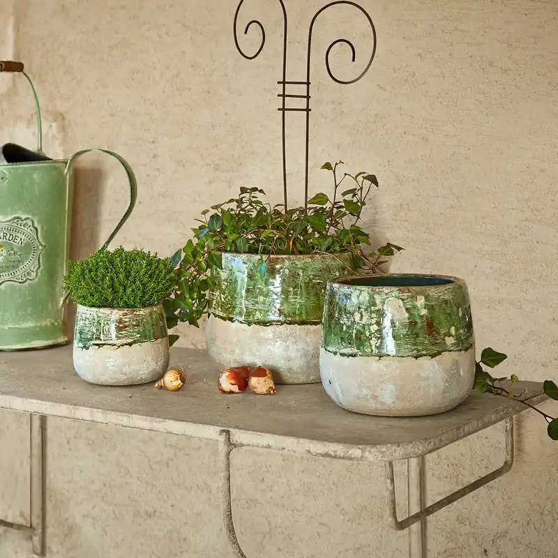 Knallerangebot Übertopf 3er Set Reefton