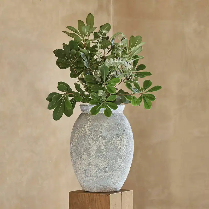 Vase Carson Super-Preis