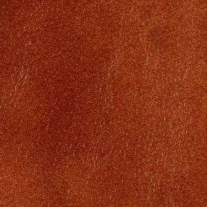 Sonderaktion Muster Echtleder 15x20 cognac KH-13