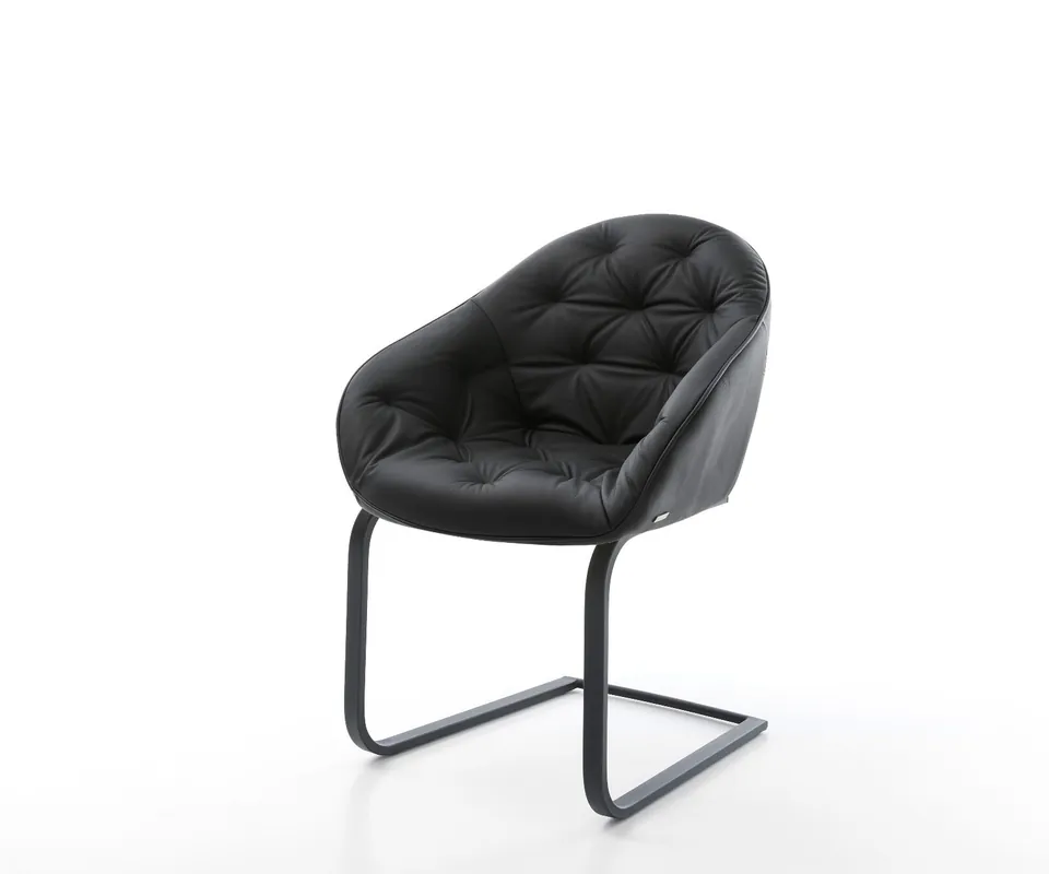 Jetzt Kaufen Freischwinger Gaio-Flex Echt-Leder Schwarz Freischwinger flach Schwarz