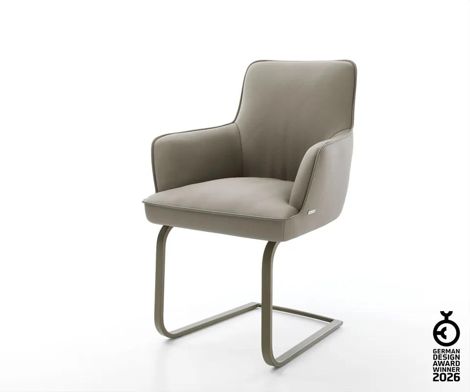 Freischwinger Heira-Flex mit Armlehnen Echt-Leder Schlamm Freischwinger flach Effektfinish Titan Taschenfederkern Jetzt Kaufen